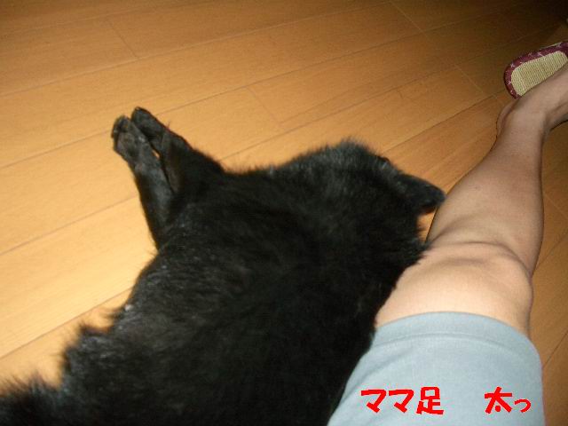 e0002466_2172849.jpg