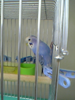 こわいよー_c0049870_15512024.jpg