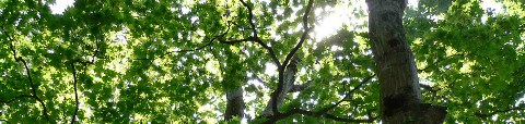 b0068572_1183740.jpg