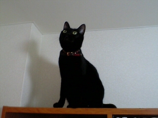 c0043315_17341063.jpg
