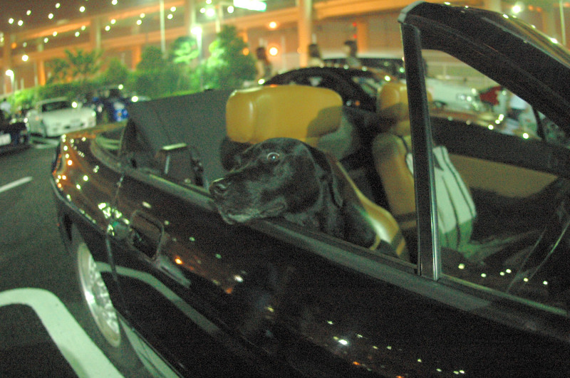 c0039145_002433.jpg