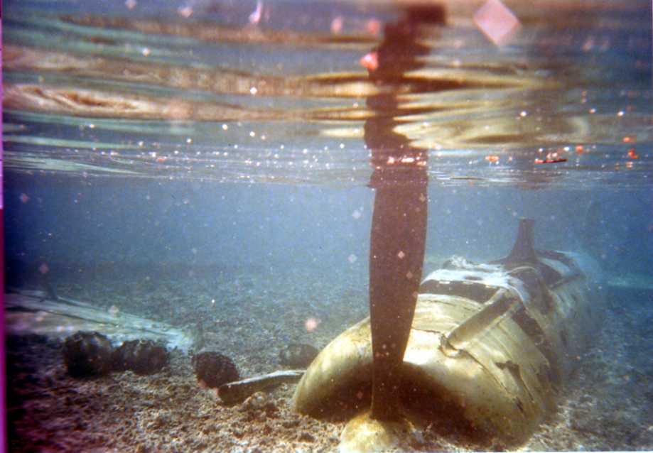 d0063550_75227.jpg