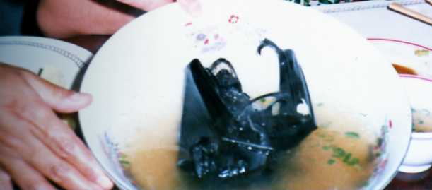 d0063550_8362518.jpg