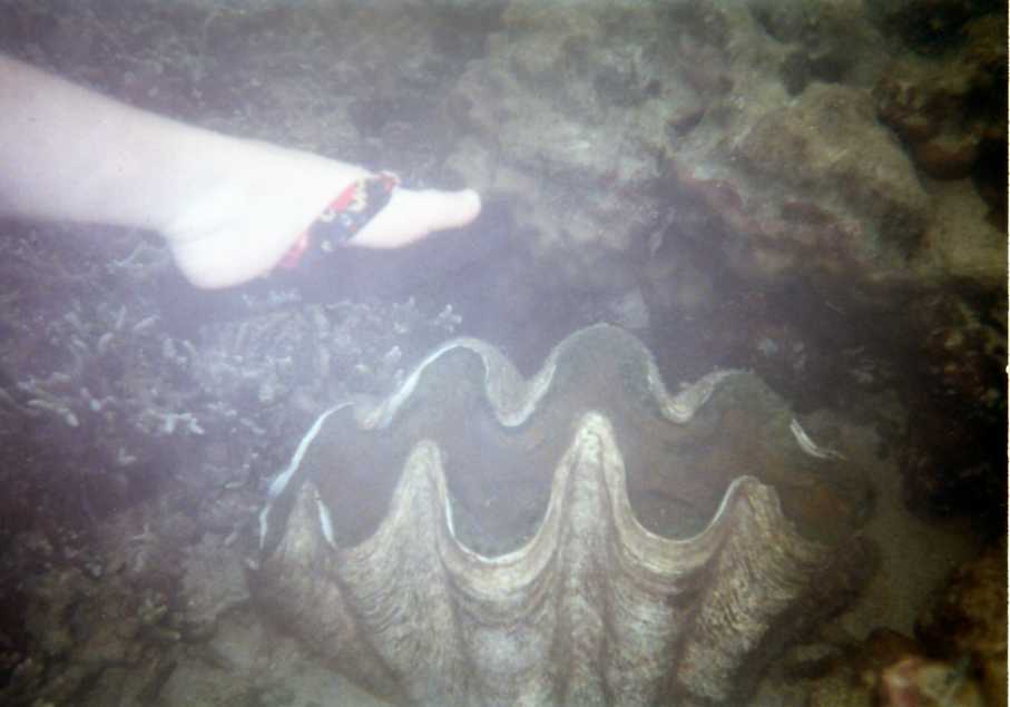 d0063550_853123.jpg