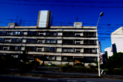 2005年、半分以上_d0027878_3581683.jpg