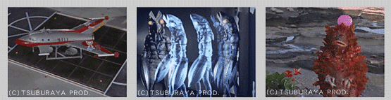 b0005281_1953429.gif