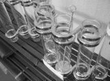 d0014408_10324925.gif