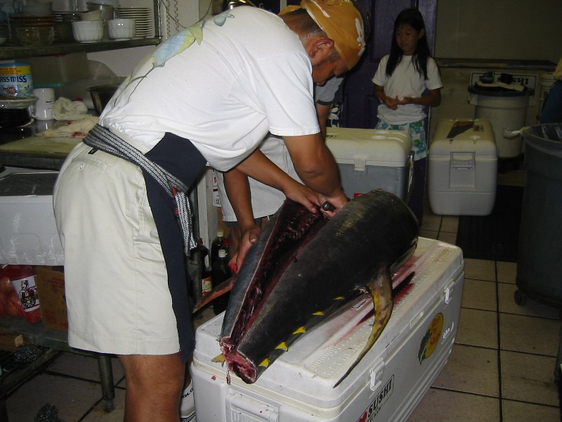 Yellow Fin Tuna_c0046886_59584.jpg