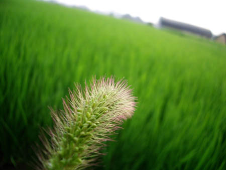 b0035093_21463387.jpg