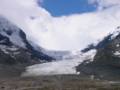 Jasper National Park_b0059565_6574556.jpg