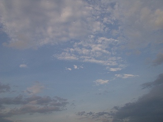 b0056570_2343780.jpg