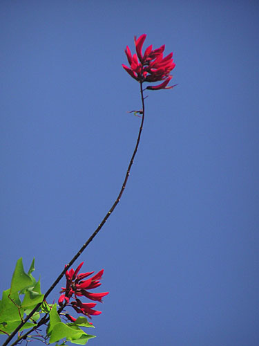 c0061503_234175.jpg
