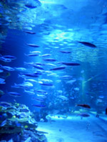 b0009106_15533762.jpg