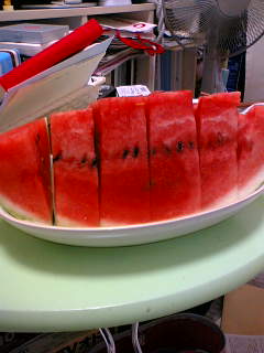 夏の風物詩_b0020723_1415479.jpg