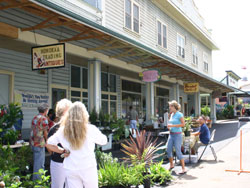 c0024729_16514046.jpg