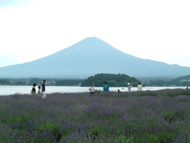 河口湖から見た富士山_b0070657_1713297.jpg