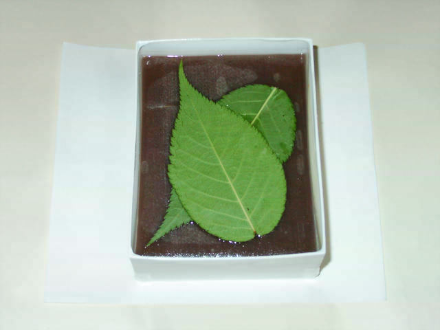 a0000667_491543.jpg