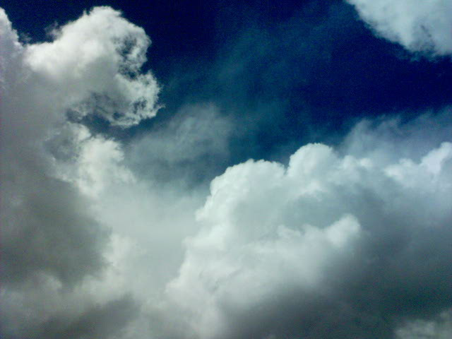 明日で最後。。。_d0037074_12131288.jpg