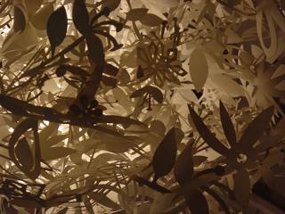 b0008511_21313712.jpg