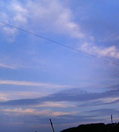 d0065116_20351592.jpg