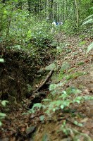 c0047856_127161.jpg