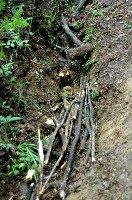c0047856_1274725.jpg