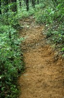 c0047856_12885.jpg