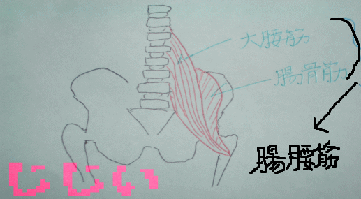 d0037176_22544611.gif
