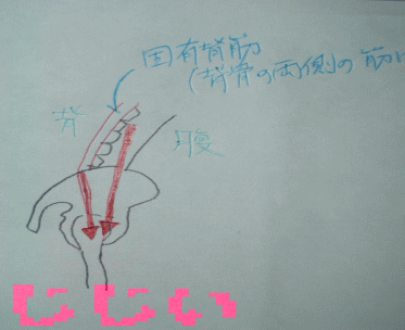 d0037176_232373.gif