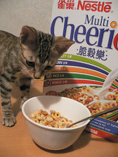 ネコにかりかり、人間にCHEERIOS_e0008794_20373974.jpg