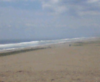 b0004697_223829100.jpg