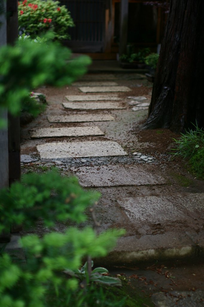 d0001745_31025.jpg