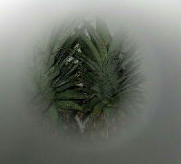 a0027290_20455334.jpg