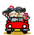 c0017311_14594738.gif