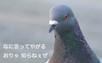 ・・・ WANTED ・・・_e0025661_22454061.jpg