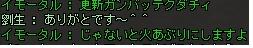 はい、更新です。えぇ、まぁ。_e0011783_14192598.jpg