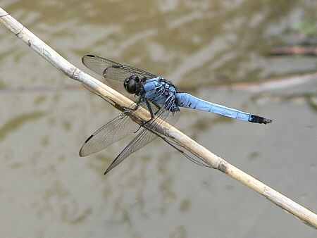 e0002314_2156341.jpg