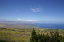 c0024729_15175211.jpg