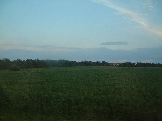 d0024140_6986.jpg