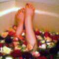 b0037160_0514645.gif