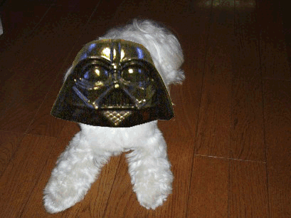 b0060071_1221747.gif