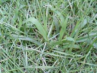 a0002261_23575551.jpg