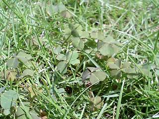 a0002261_23581119.jpg