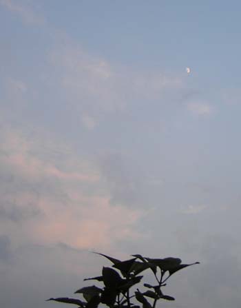 a0020763_22494042.jpg