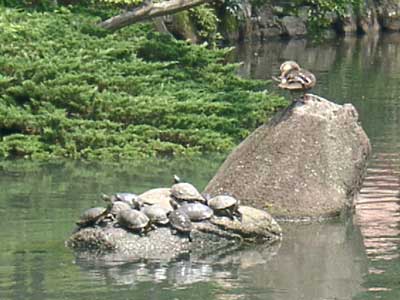 c0047589_143818100.jpg