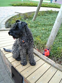 c0037701_031211.jpg