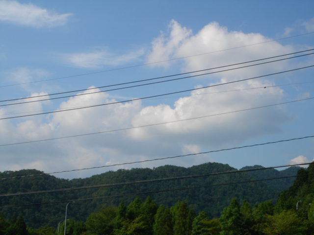 d0025421_16153184.jpg