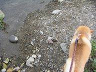 日曜の山鉾巡行_c0049950_2165124.jpg