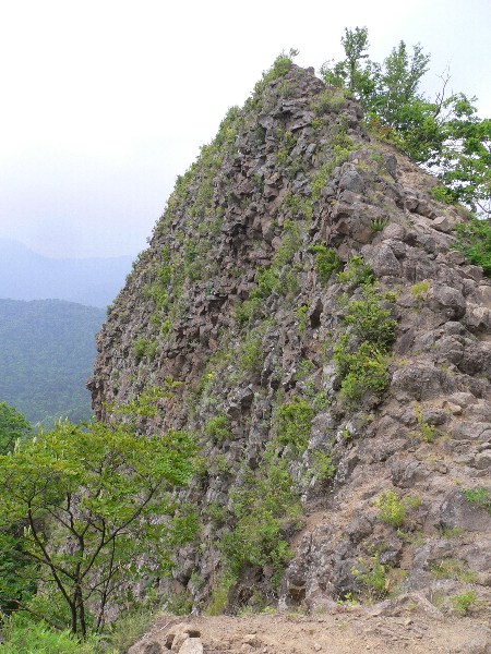 b0068572_23371895.jpg