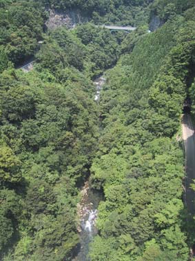 ホグワーツ特急?!_b0019674_163415.jpg